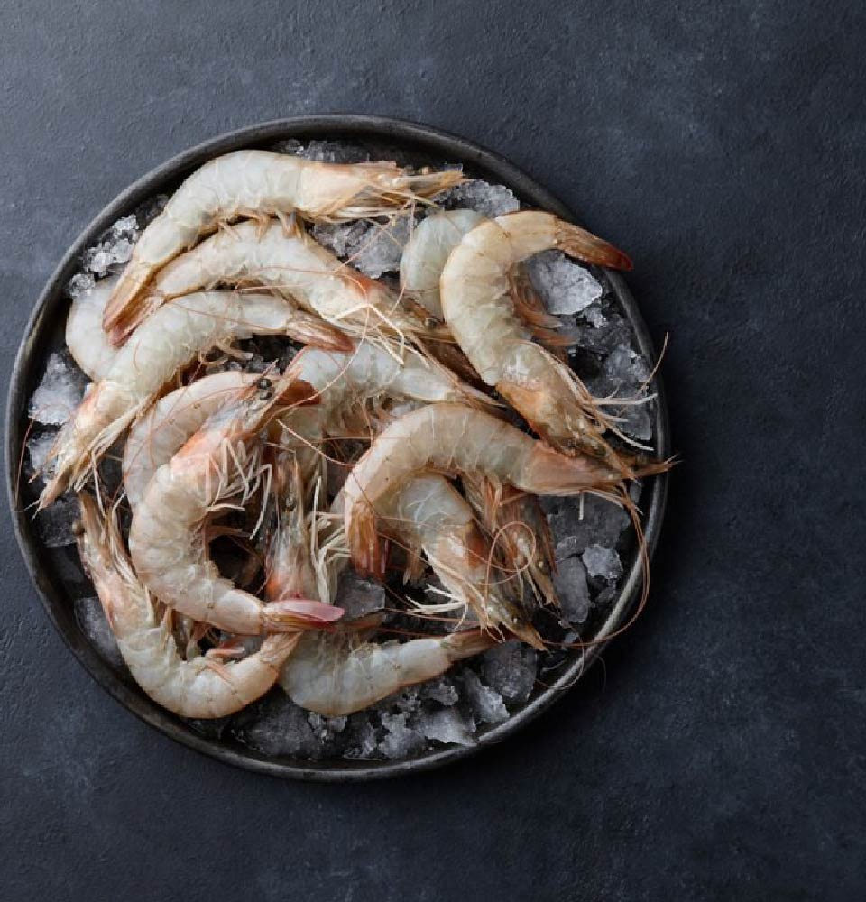 prawn